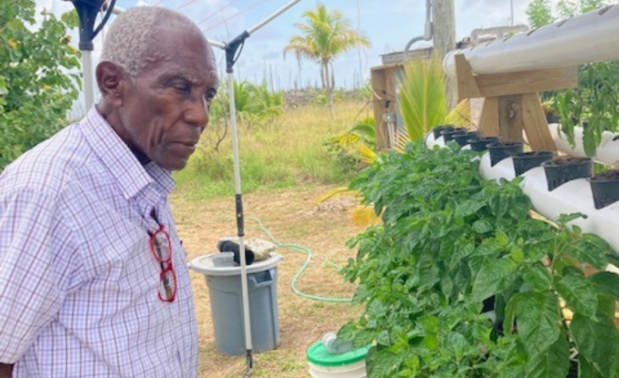 Blue Atlas Project Home SULA Man Standing Looking At Plants